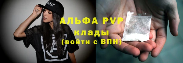 прущие грибы Волоколамск