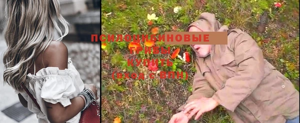 прущие грибы Волоколамск