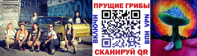 Галлюциногенные грибы Magic Shrooms  Купить закладки  Кирово-Чепецк 